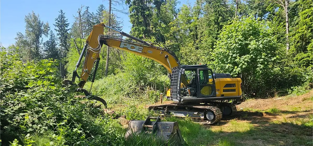 PCE excavator clearing overgrown land
